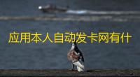 应用本人自动发卡网有什么益处？怎么做？